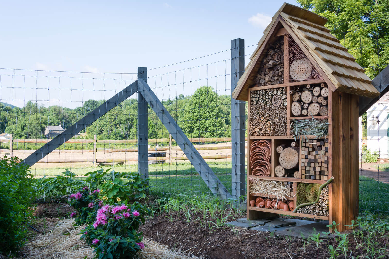 Garden Of Eatin At The Inn At Little Washington Rappahannock