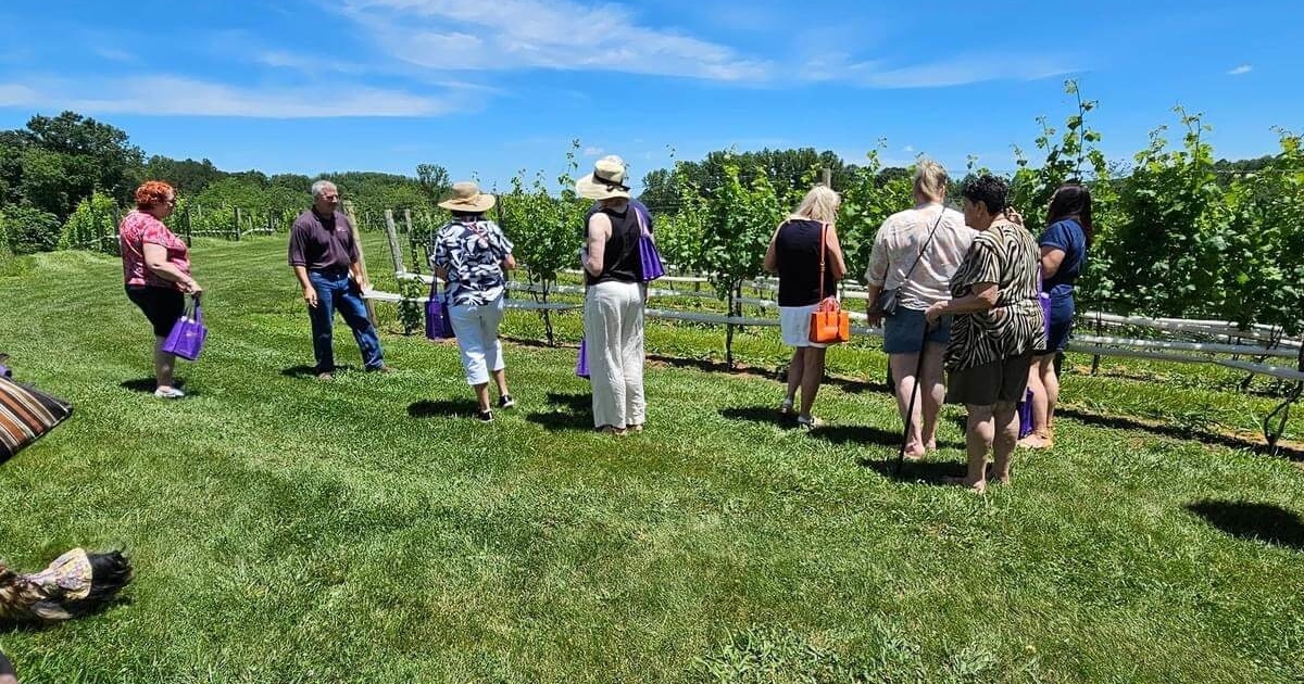 MagnoliaVineyards_Farm Tour2