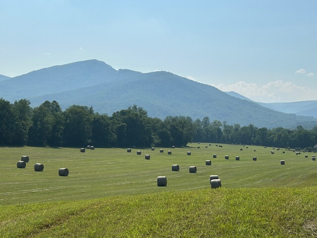 RaggedRidgeBerryHay_image3