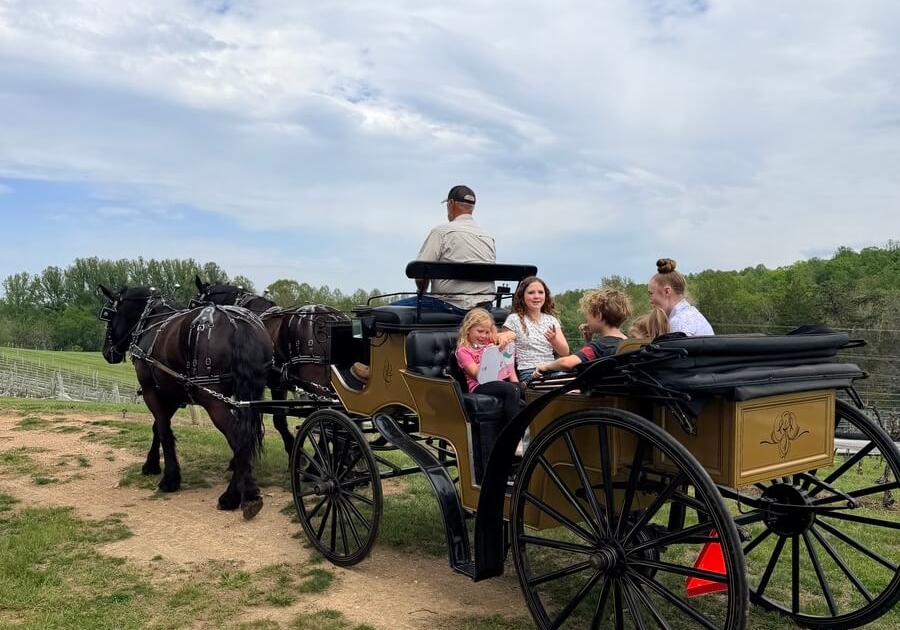 Magnolia - Carriage Ride
