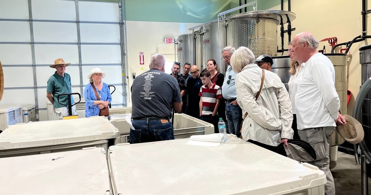 Magnolia - Tour in winery